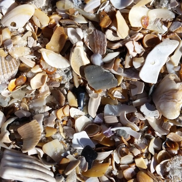 Meet your Posher, Ky - Picture 8 of 8